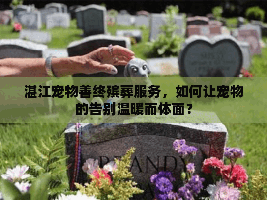 湛江宠物善终殡葬服务，如何让宠物的告别温暖而体面？