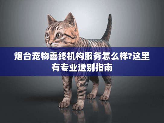 烟台宠物善终机构服务怎么样?这里有专业送别指南