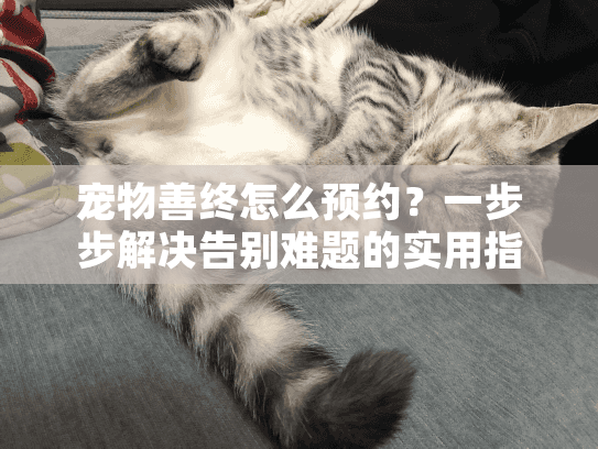 宠物善终怎么预约？一步步解决告别难题的实用指南