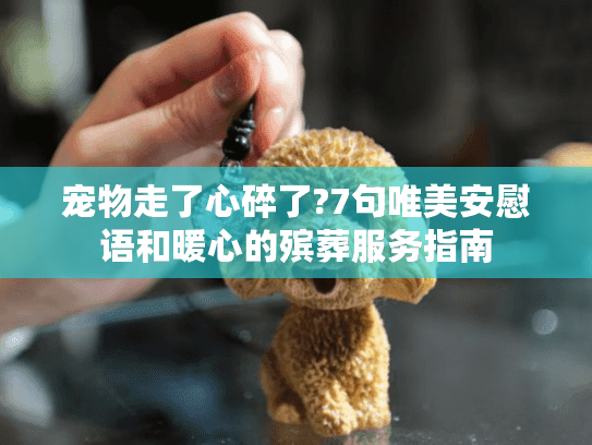 宠物走了心碎了?7句唯美安慰语和暖心的殡葬服务指南