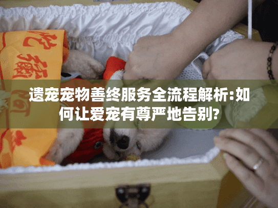 遗宠宠物善终服务全流程解析:如何让爱宠有尊严地告别?