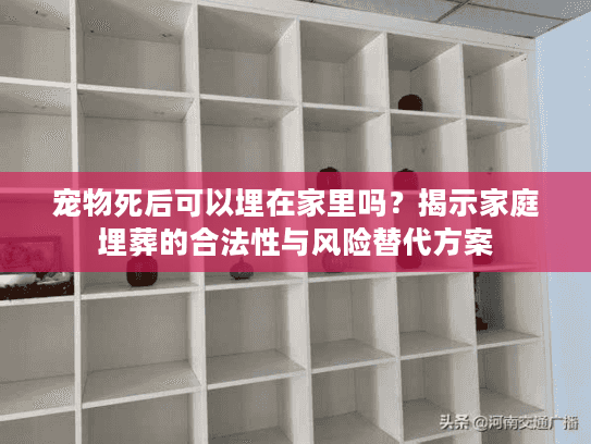 宠物死后可以埋在家里吗？揭示家庭埋葬的合法性与风险替代方案
