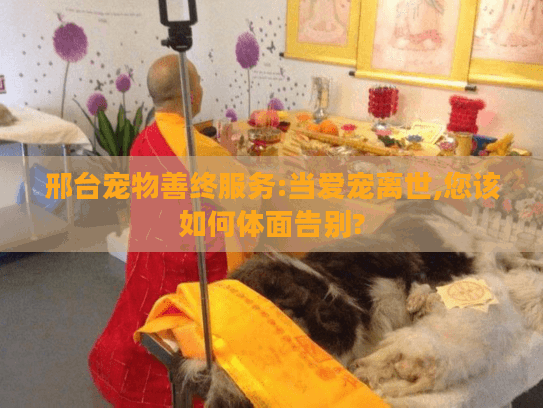 邢台宠物善终服务:当爱宠离世,您该如何体面告别?