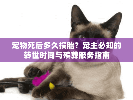宠物死后多久投胎？宠主必知的转世时间与殡葬服务指南