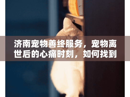 济南宠物善终服务，宠物离世后的心痛时刻，如何找到专业告别方案？