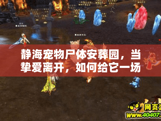 静海宠物尸体安葬园，当挚爱离开，如何给它一场体面告别？