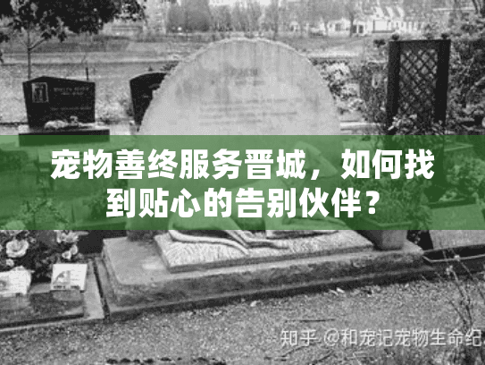 宠物善终服务晋城，如何找到贴心的告别伙伴？