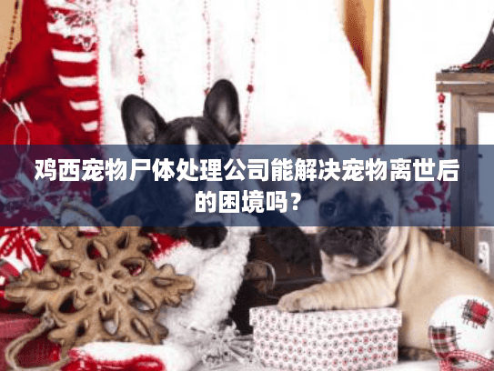 鸡西宠物尸体处理公司能解决宠物离世后的困境吗？