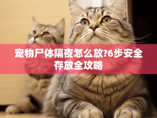 宠物尸体隔夜怎么放?6步安全存放全攻略