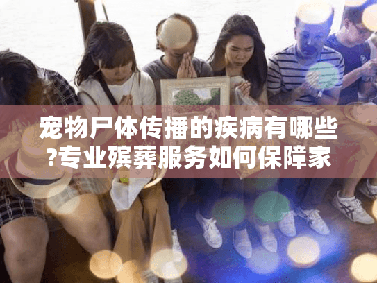 宠物尸体传播的疾病有哪些?专业殡葬服务如何保障家庭健康