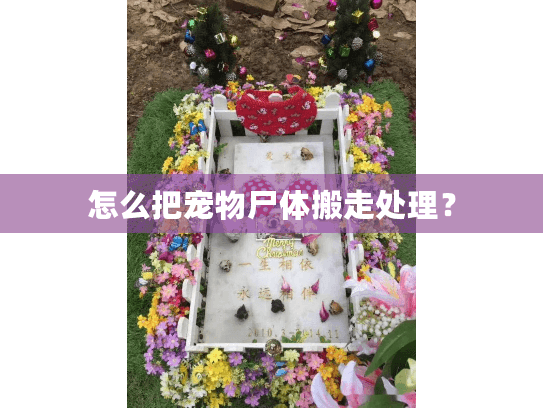 怎么把宠物尸体搬走处理？