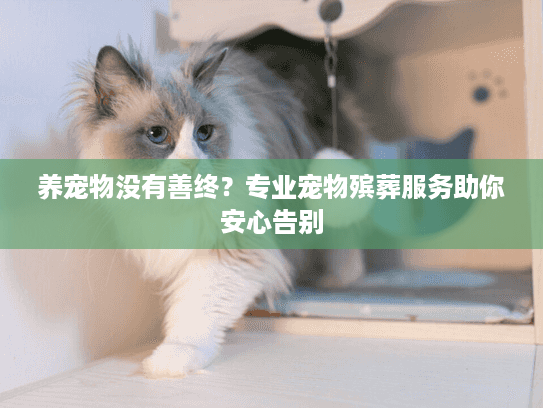 养宠物没有善终？专业宠物殡葬服务助你安心告别