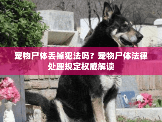 宠物尸体丢掉犯法吗？宠物尸体法律处理规定权威解读