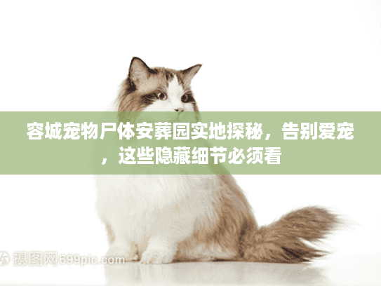 容城宠物尸体安葬园实地探秘，告别爱宠，这些隐藏细节必须看