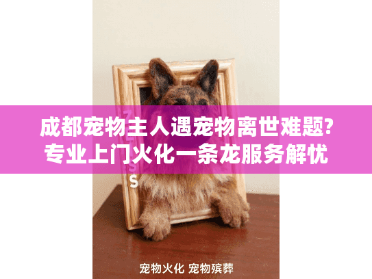 成都宠物主人遇宠物离世难题?专业上门火化一条龙服务解忧