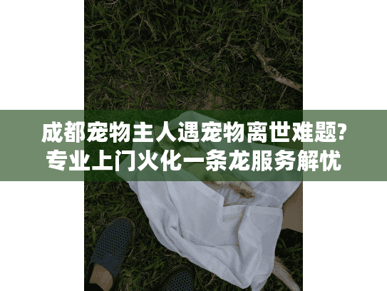 成都宠物主人遇宠物离世难题?专业上门火化一条龙服务解忧