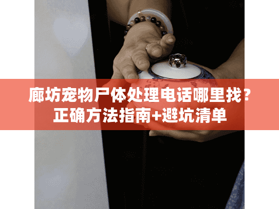 廊坊宠物尸体处理电话哪里找？正确方法指南+避坑清单