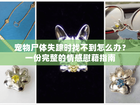 宠物尸体失踪时找不到怎么办？一份完整的情感慰藉指南