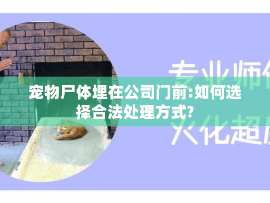 宠物尸体埋在公司门前:如何选择合法处理方式?