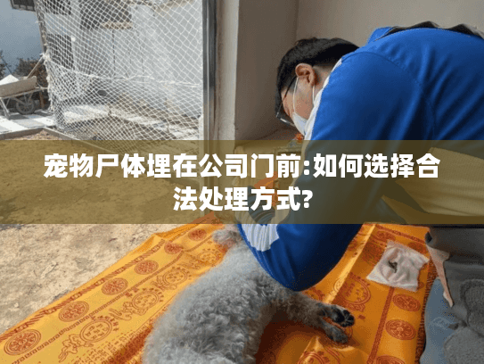 宠物尸体埋在公司门前:如何选择合法处理方式?