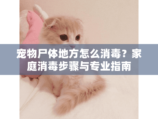 宠物尸体地方怎么消毒？家庭消毒步骤与专业指南