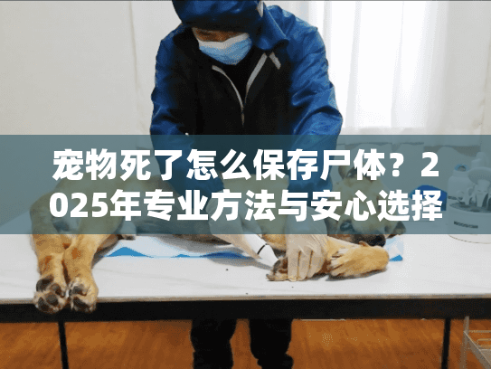 宠物死了怎么保存尸体？2025年专业方法与安心选择指南