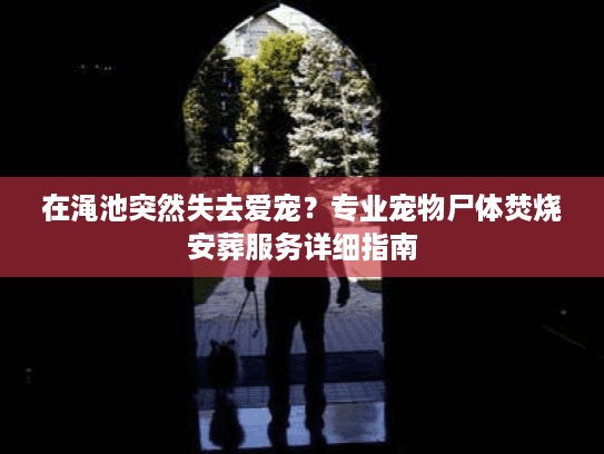 在渑池突然失去爱宠？专业宠物尸体焚烧安葬服务详细指南