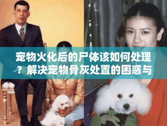 宠物火化后的尸体该如何处理？解决宠物骨灰处置的困惑与痛点