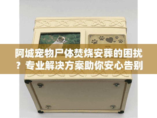 阿城宠物尸体焚烧安葬的困扰?专业解决方案助你安心告别 阿城宠物尸体焚烧安葬的困扰?专业解决方案助你安心告别