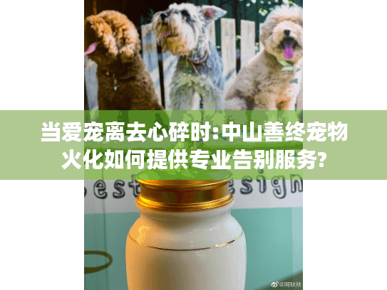 当爱宠离去心碎时:中山善终宠物火化如何提供专业告别服务?