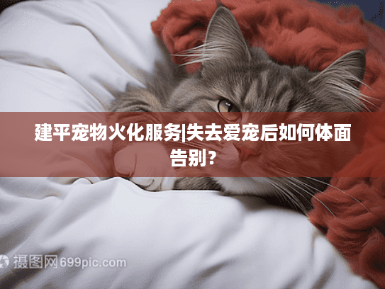 建平宠物火化服务|失去爱宠后如何体面告别？