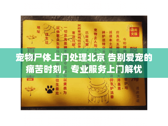 宠物尸体上门处理北京 告别爱宠的痛苦时刻，专业服务上门解忧