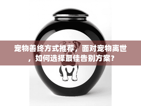 宠物善终方式推荐，面对宠物离世，如何选择最佳告别方案？