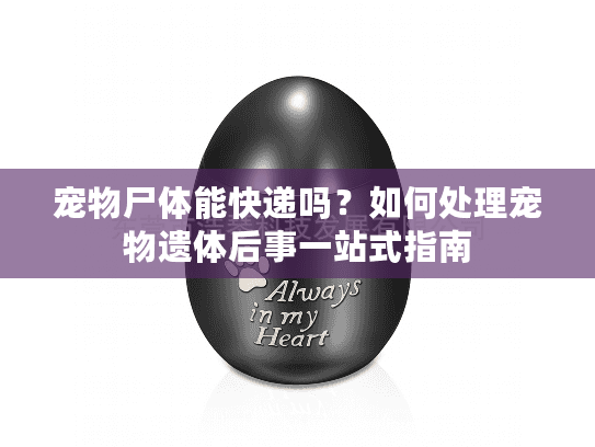 宠物尸体能快递吗？如何处理宠物遗体后事一站式指南