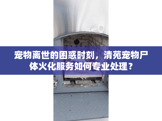 宠物离世的困惑时刻,清苑宠物尸体火化服务如何专业处理? 宠物离世的困惑时刻,清苑宠物尸体火化服务如何专业处理?