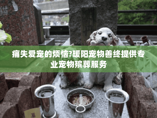 痛失爱宠的烦恼?暖阳宠物善终提供专业宠物殡葬服务