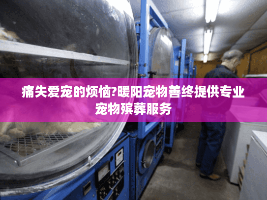 痛失爱宠的烦恼?暖阳宠物善终提供专业宠物殡葬服务