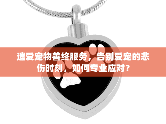 遗爱宠物善终服务，告别爱宠的悲伤时刻，如何专业应对？