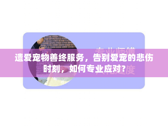 遗爱宠物善终服务，告别爱宠的悲伤时刻，如何专业应对？