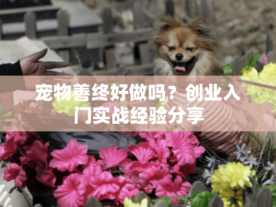 宠物善终好做吗？创业入门实战经验分享