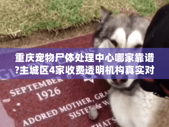 重庆宠物尸体处理中心哪家靠谱?主城区4家收费透明机构真实对比
