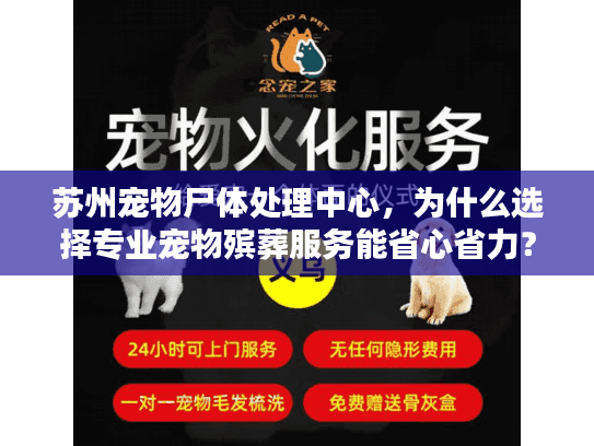 苏州宠物尸体处理中心，为什么选择专业宠物殡葬服务能省心省力？