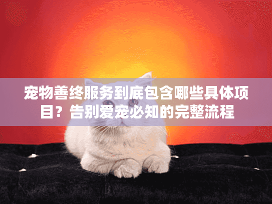 宠物善终服务到底包含哪些具体项目？告别爱宠必知的完整流程