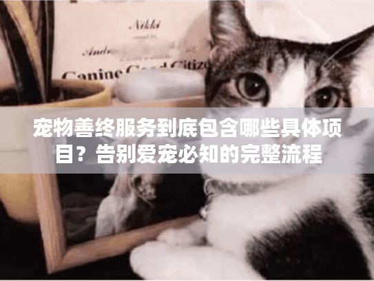 宠物善终服务到底包含哪些具体项目？告别爱宠必知的完整流程
