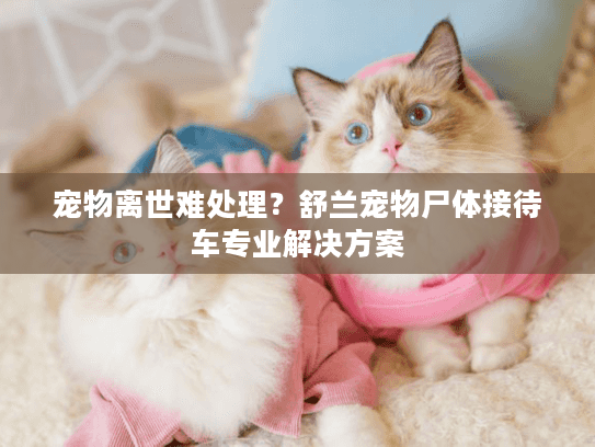 宠物离世难处理？舒兰宠物尸体接待车专业解决方案