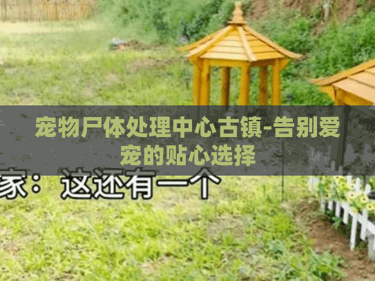 宠物尸体处理中心古镇-告别爱宠的贴心选择