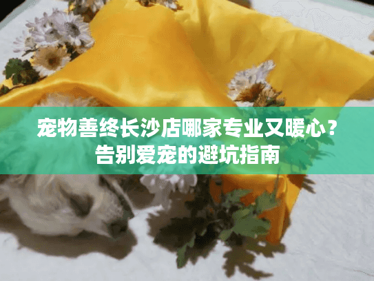 宠物善终长沙店哪家专业又暖心？告别爱宠的避坑指南