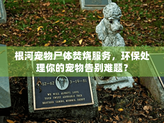 根河宠物尸体焚烧服务，环保处理你的宠物告别难题？