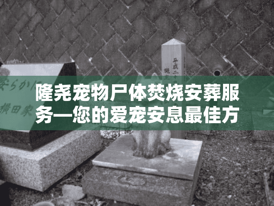 隆尧宠物尸体焚烧安葬服务—您的爱宠安息最佳方案？