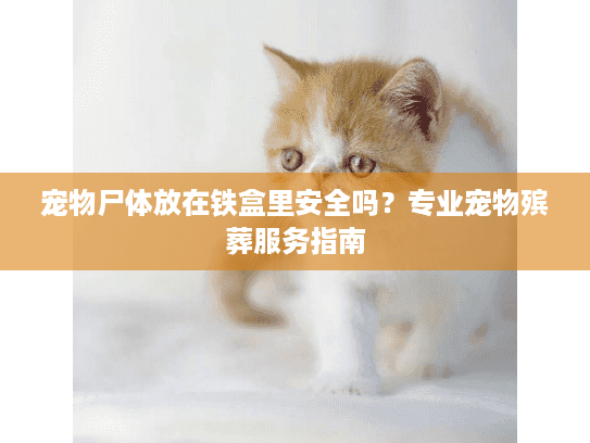 宠物尸体放在铁盒里安全吗？专业宠物殡葬服务指南